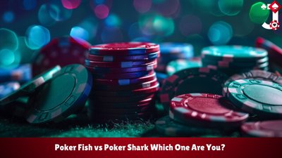 Poker fish vs Poker shark